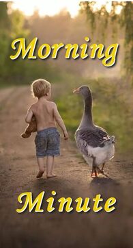 Boy and Goose Walking